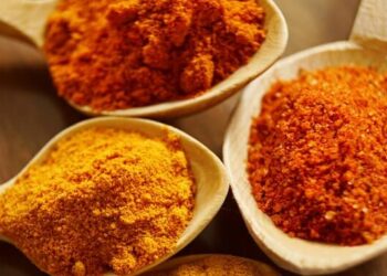 10 Manfaat Temulawak untuk Kesehatan Tubuh Anda