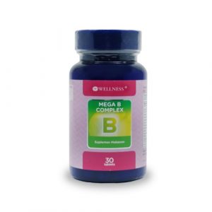 WELLNESS Mega B Complex