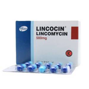 Gambar Lincocin 500 mg Capsule