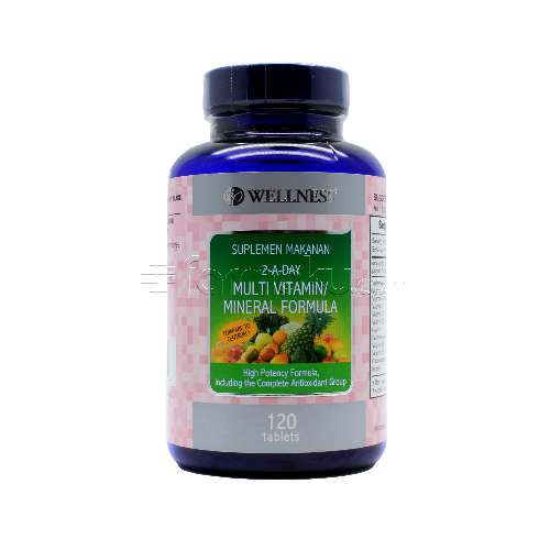 WELLNESS 2-A-Day Multivitamin/Mineral