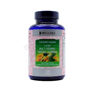 Wellness Multivitamin Mineral farmaku