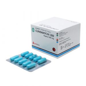 gambar clindamycin