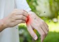 gambar obat malaria